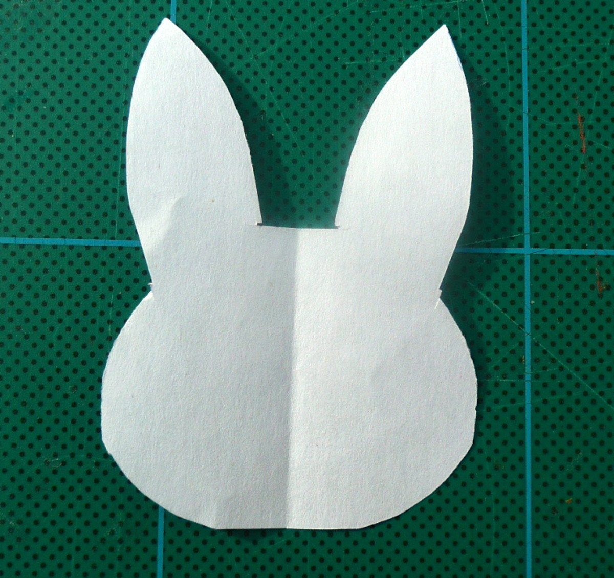 Cut out the paper template.