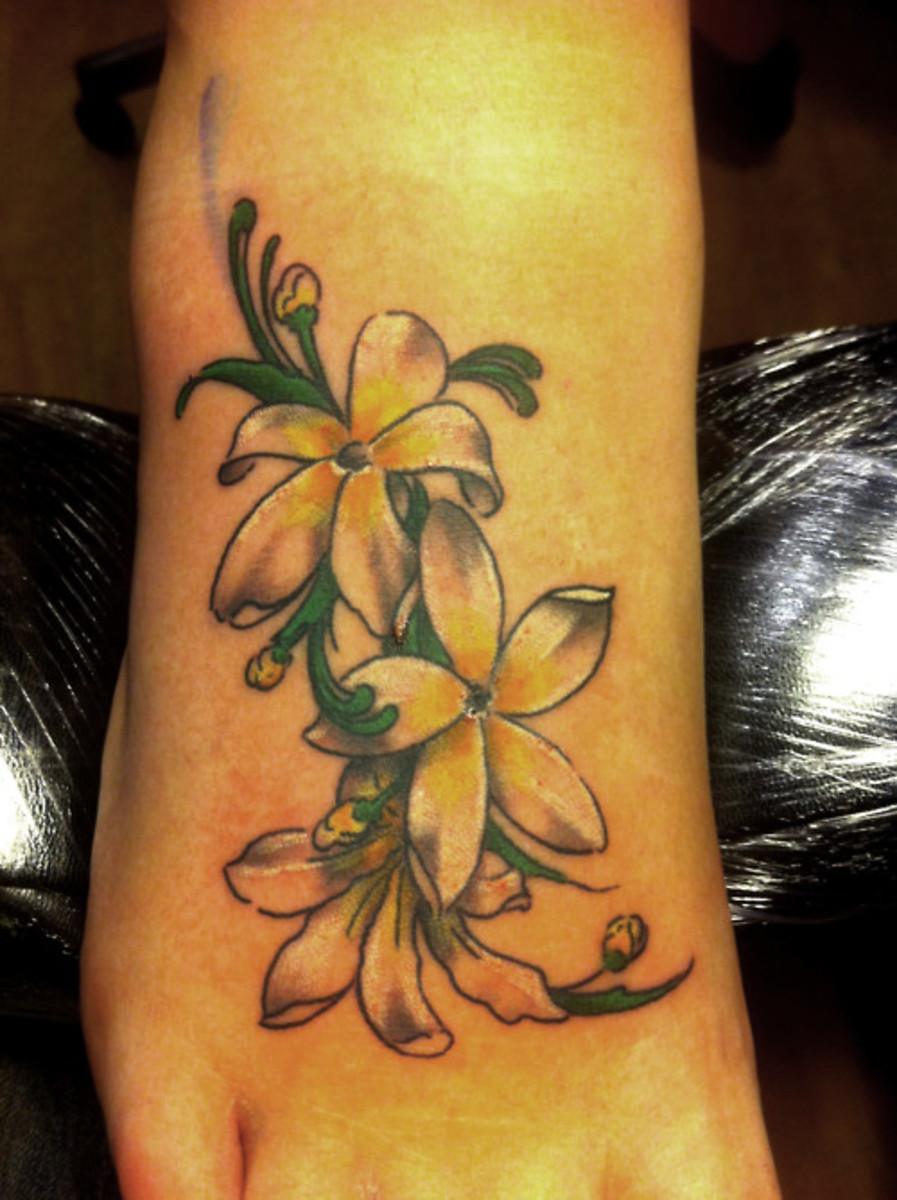 Jasmine flowers; plants, bush, tea, symbolism, tattoos and