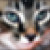 Pixels Pixels