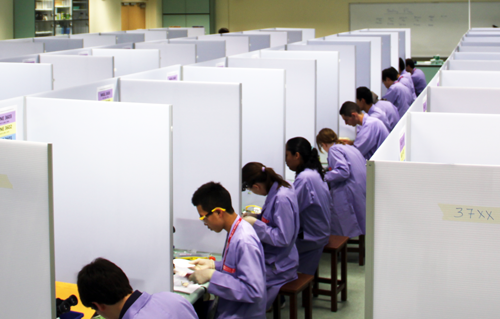 IBO Practical Exam