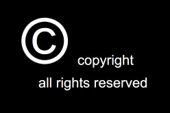 Legal Advice for Small Business Owners – Beware of Copyright Infringements
