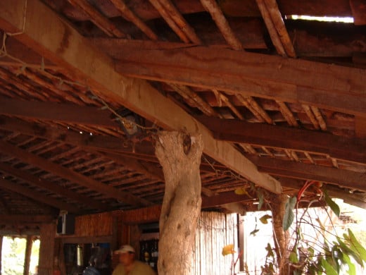 This thatched roof is typical of the type that is often replaced during a mission in an overseas country.