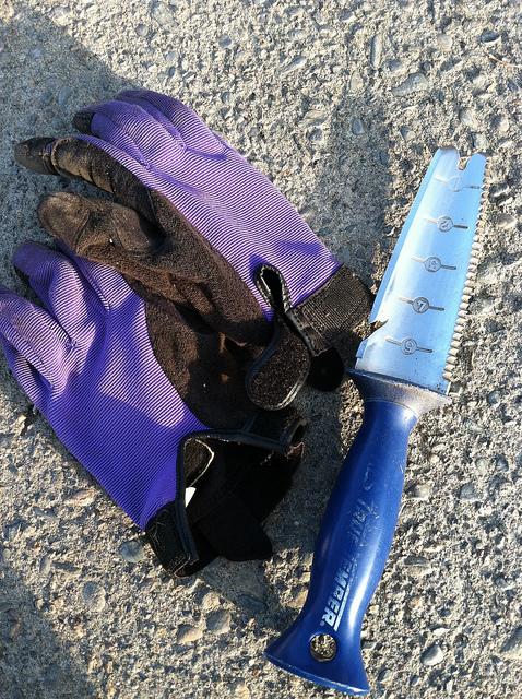 Quality gloves and a good hand trowel are great investments.