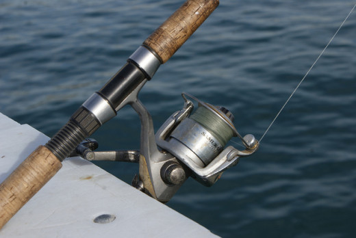 A Typical Shimano Spinning Reel for Bass