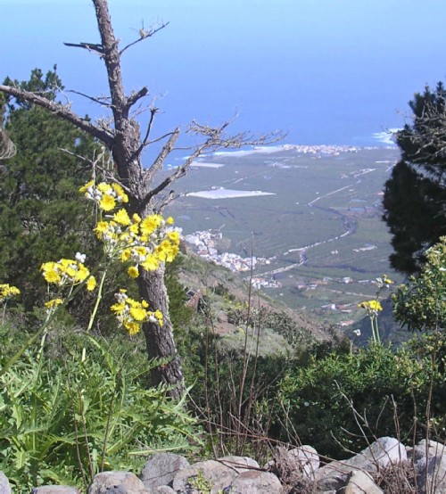 View looking down from Talavera