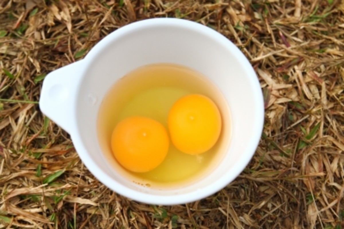 Egg yolk for oily skin