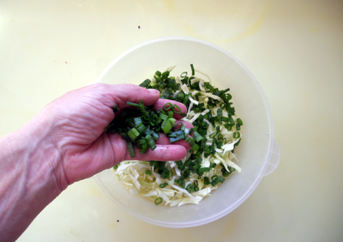 add green parts to shredded lettuce