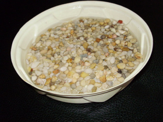 Put just enough water in the tray to cover the pebbles, place plant pot in tray, thereby providing plant humidity.