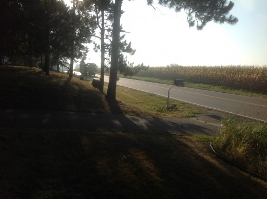 Here comes the morning school bus