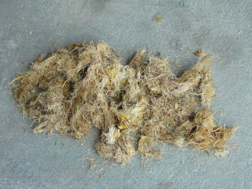 The Raw Material of EFB Briquette