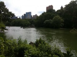 Visiting Central Park in New York City is a Must!