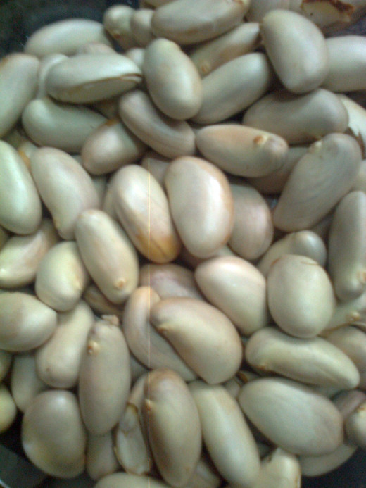 Jack fruit seeds.