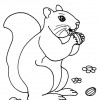 jsquirrel profile image