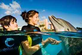 Dolphin Cay