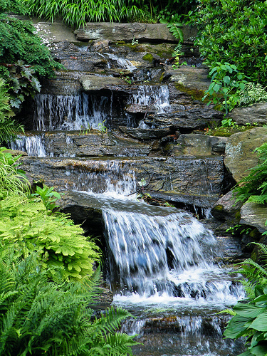 Water flows along the path of least resistance, set up by the structure of the stream bed.