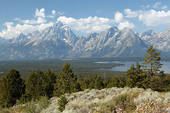 Tranquility of the Grand Teton