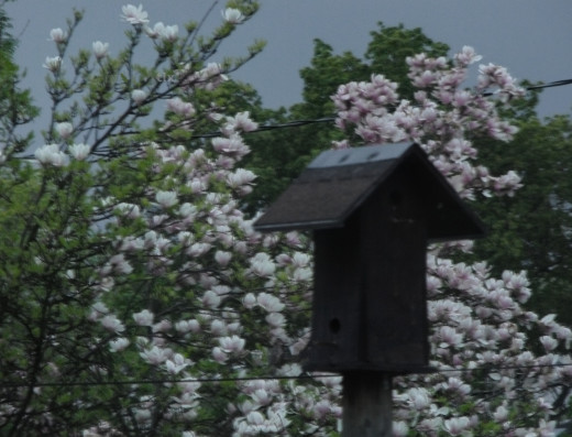 I used HDR to allow very detailed control of the stormy sky light conditions.