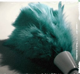 Duster