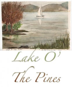 Lake O' The Pines