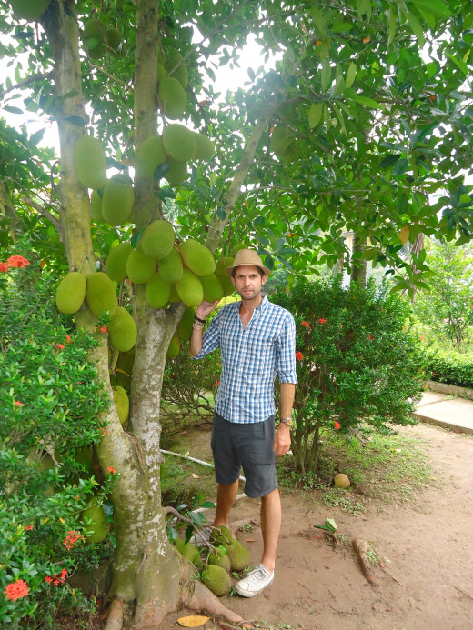 Mekong Delta pictures: Jackfruit