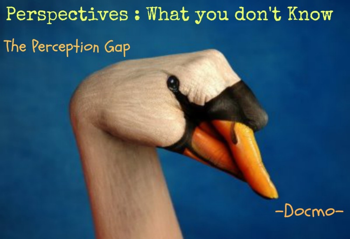 What you don't know - The Perception Gap