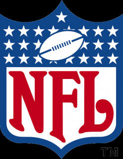 2013: NFL Mock Draft Picks 1-17