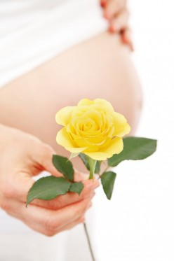 Herbs for Pregnancy