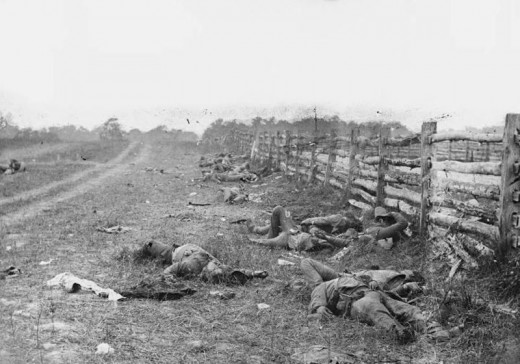 A picture showing Confederate dead, probably from the Louisiana brigade commanded by General Harry T. Hays.