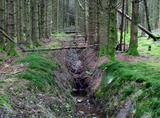 Ponterwyd