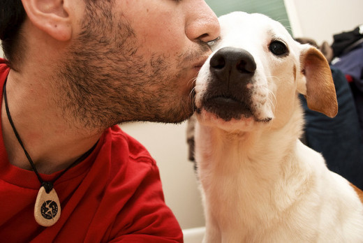 Bond with your dog through praise and affection.