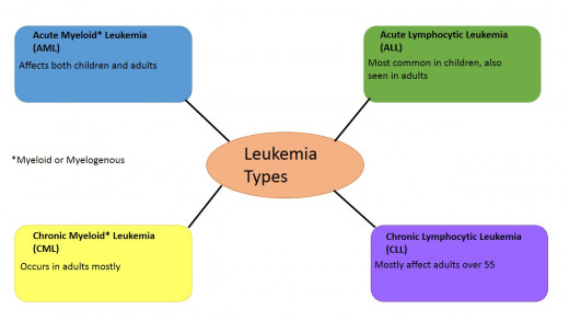 Types of Leukemia