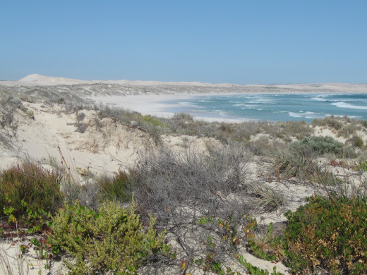 Sand dunes, Coffin Bay National Park