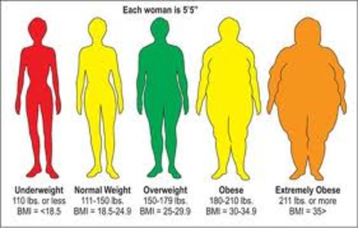 overweight definition body fat percentage