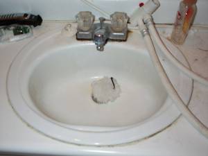 Toy mouse in sink