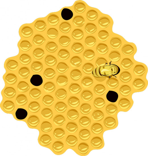 Honey bees build honeycombs in their nests to contain their larvae and stores of honey and pollen 