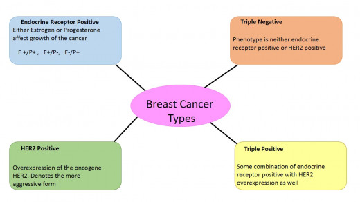 Breast Cancer Types. 