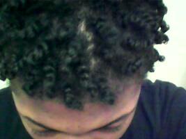 Two strand twists! My favorite natural hairstyle. 