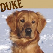 doglover70 profile image