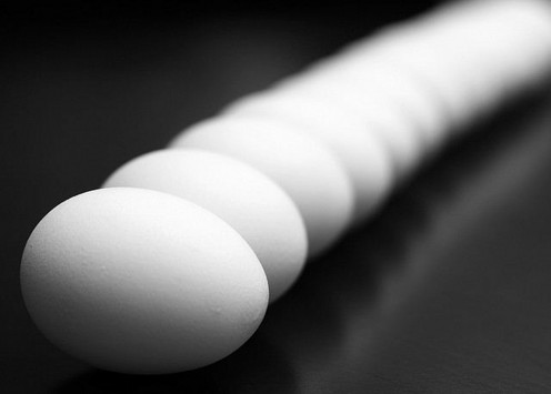 Why should you eat eggs? Because they are one of the richest sources of protein