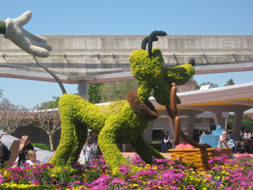 Pluto topiary