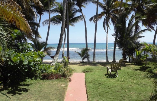 This was the view from our back porch at the cottage we rented in south Puerto Rico.