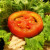Tomatoes as a healthy garnish. Tomatoes as a healthy garnish.