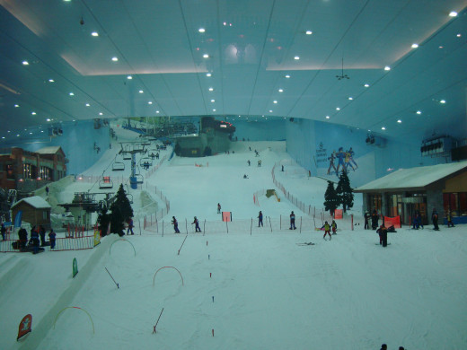 Ski Dubai in Mall of Emirates