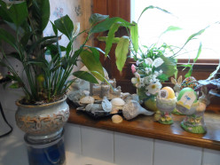 Kitchen Window Plants and 9 Window Decorating Ideas