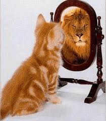 When you look into the mirror - don't talk yourself down, talk yourself up!!