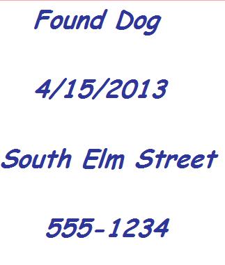 Only include the important information in larger letters that are easy to see from the street when making a found dog poster.