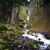the full view of Wahkeena Falls from the top to the bottom. the full view of Wahkeena Falls from the top to the bottom.