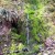 A beautiful trickle fall down a mossy rock. A beautiful trickle fall down a mossy rock.