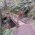 Wooden bridge with rails crossing the stream. Wooden bridge with rails crossing the stream.