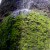 Tall trickle fall cascading over the moss and rock. Tall trickle fall cascading over the moss and rock.